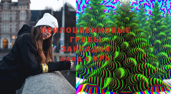 трава Бронницы