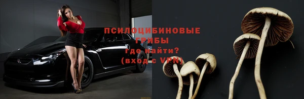 трава Бронницы