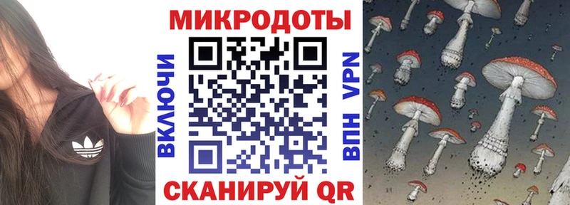 Галлюциногенные грибы прущие грибы  Любим 